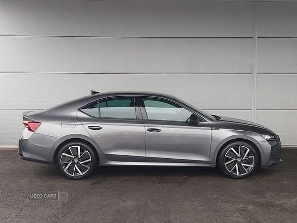 Used Skoda Octavia SportLine 2025 Grey Hatchback