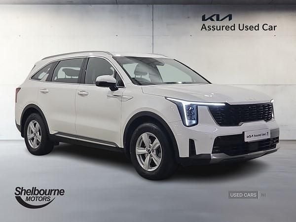 Used Kia Sorento 194 HP (142 kW) 2025 White SUV
