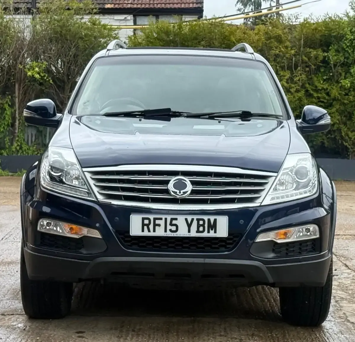 Used SsangYong Rexton 2015 Blue SUV