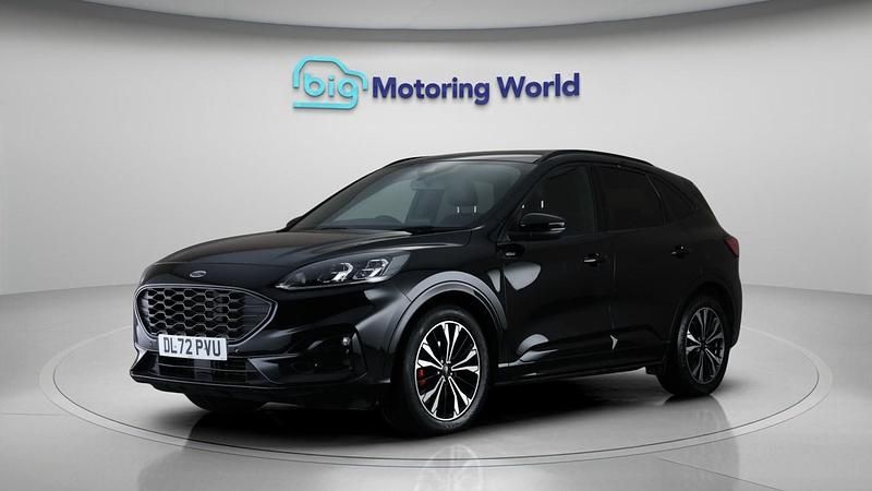 Used Ford Kuga ST-Line X 150 HP (110 kW) 2023 Black SUV
