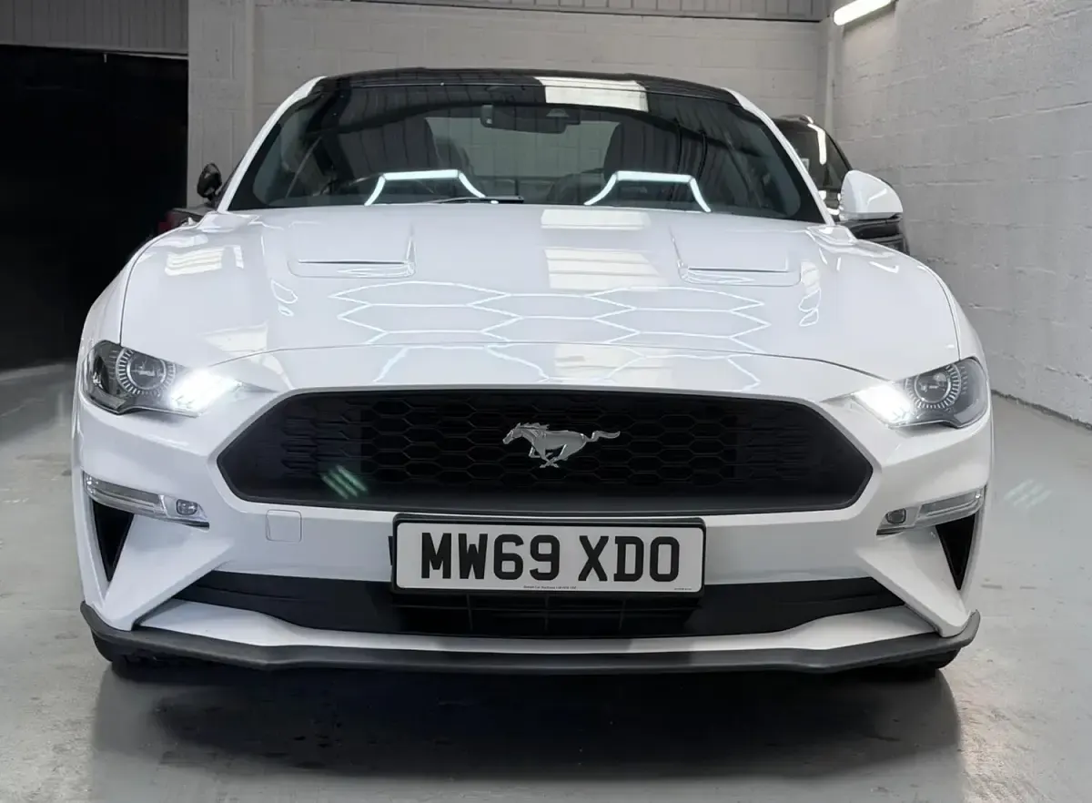 Used Ford Mustang Fastback 310 HP (228 kW) 2019 White Coupe