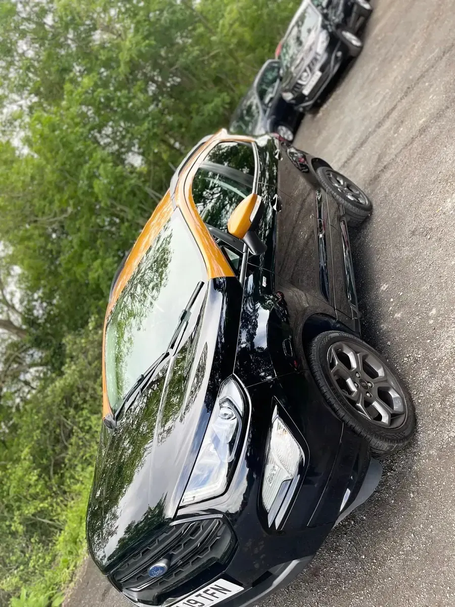 Usado Ford Ecosport ST-Line 2019 Preto SUV