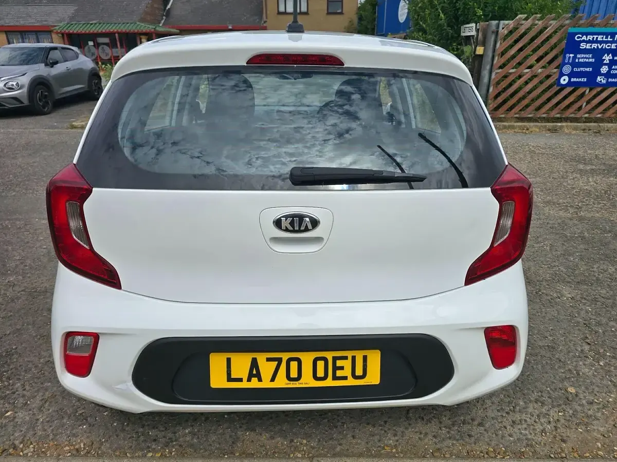 Used Kia Picanto 67 HP (49 kW) 2021 White Hatchback