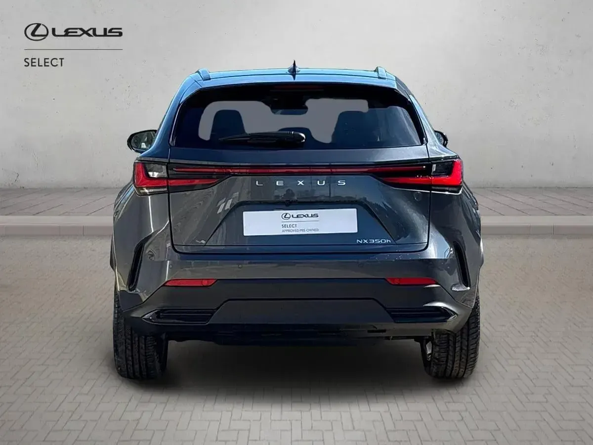 Used Lexus NX350h 197 HP (144 kW) 2026 Grey SUV