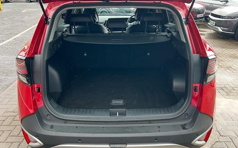 Used Kia Sportage 209 HP (153 kW) 2024 SUV