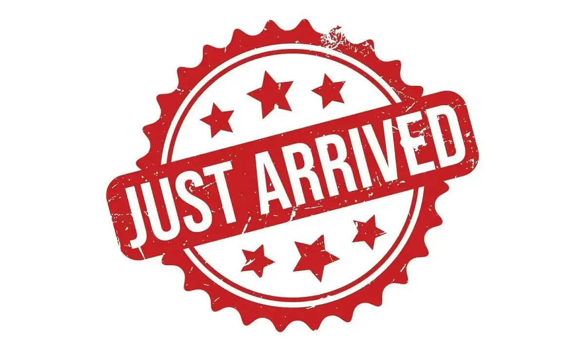 Used Ford Focus Ghia 99 HP (72 kW) 2004 Grey Hatchback