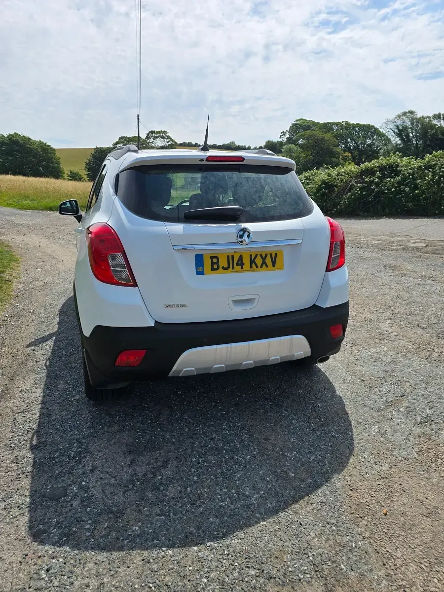 Used Vauxhall Mokka 115 HP (84 kW) 2014 White SUV