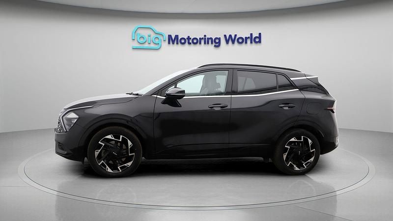 Used Kia Sportage GT-Line 157 HP (115 kW) 2024 SUV