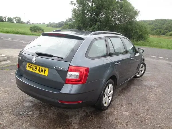 Used Skoda Octavia 2025 Grey