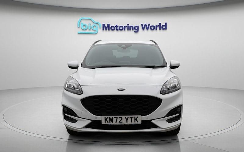 Used Ford Kuga ST-Line 224 HP (164 kW) 2023 SUV