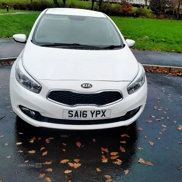 Used Kia Ceed 136 HP (100 kW) 2016 White Hatchback