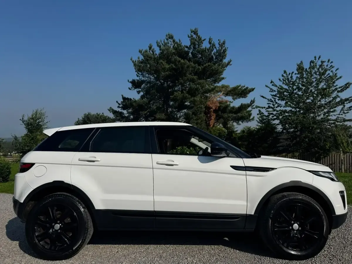 Used Land Rover Range Rover evoque SE 240 HP (176 kW) 2019 White SUV