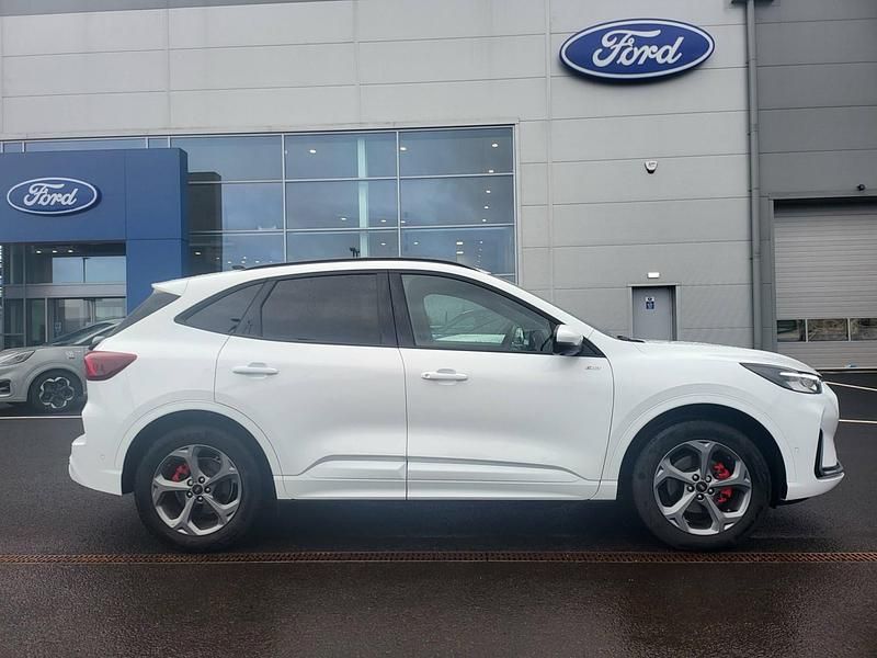 Used Ford Kuga ST-Line 243 HP (178 kW) 2025 White SUV