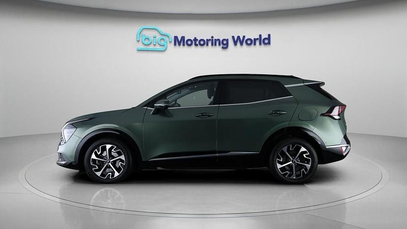 Used Kia Sportage 2022 Green SUV