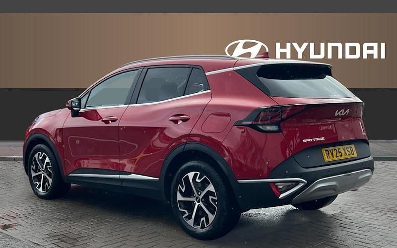 Used Kia Sportage 209 HP (153 kW) 2024 SUV