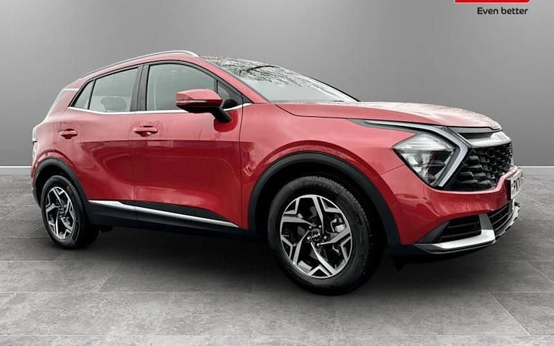 Used Kia Sportage 159 HP (116 kW) 2024 SUV