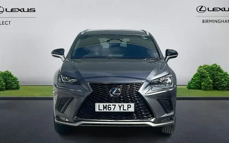 Used Lexus NX300h Sport Line 197 HP (144 kW) 2017 Grey SUV