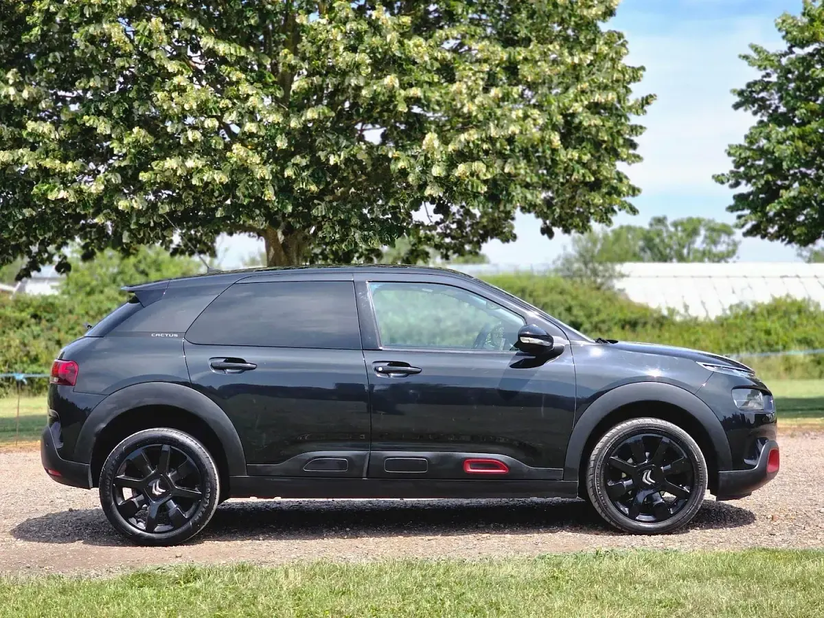 Used Citroën C4 Cactus Flair 2019 Black Hatchback