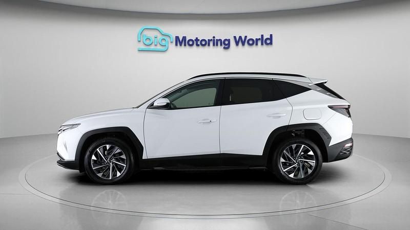 Used Hyundai Tucson Premium 150 HP (110 kW) 2024 White SUV