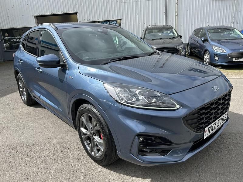 Used Ford Kuga ST-Line 150 HP (110 kW) 2022 Blue SUV