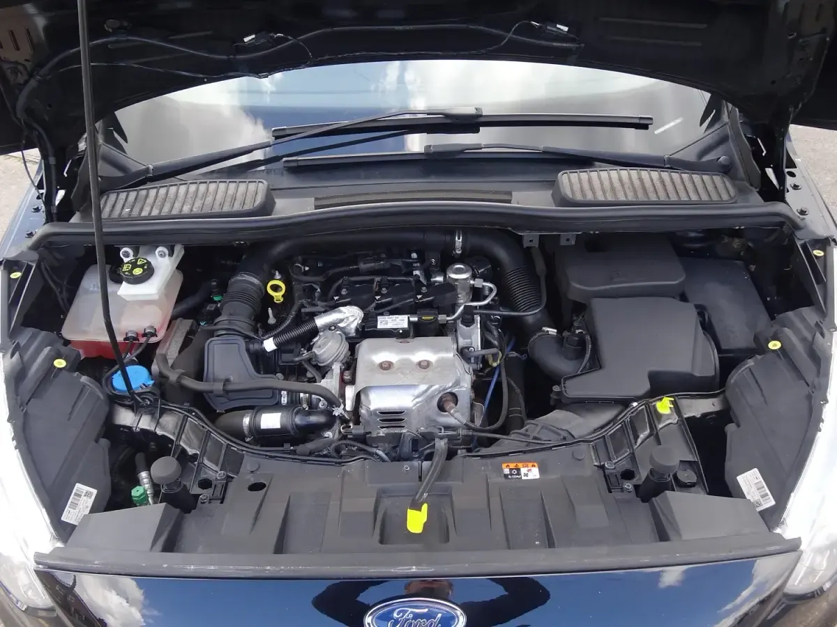 Usado Ford C-MAX Titanium 125 HP (91 kW) 2017 Preto Monovolume