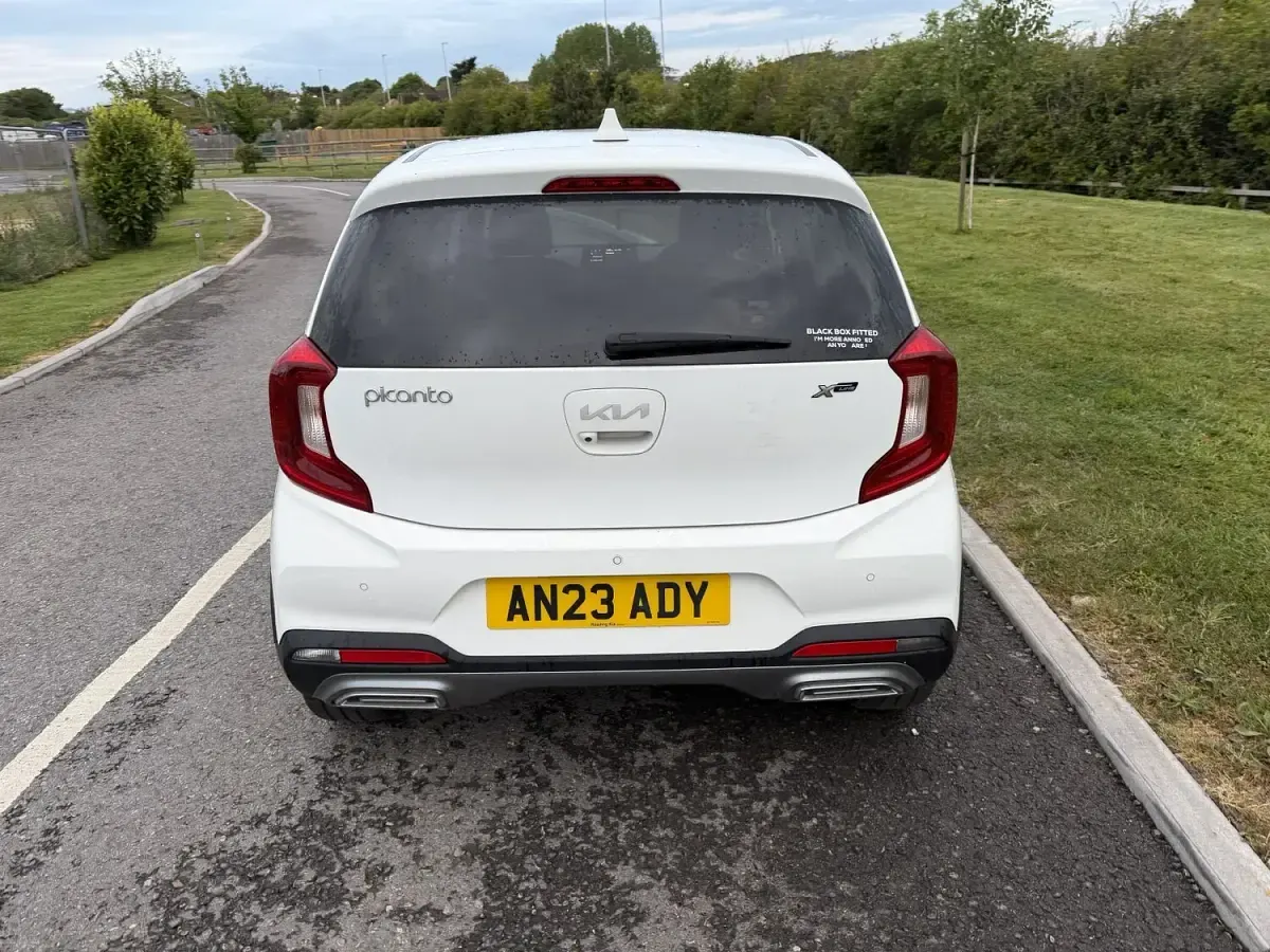 Used Kia Picanto X-Line 2023 White Hatchback