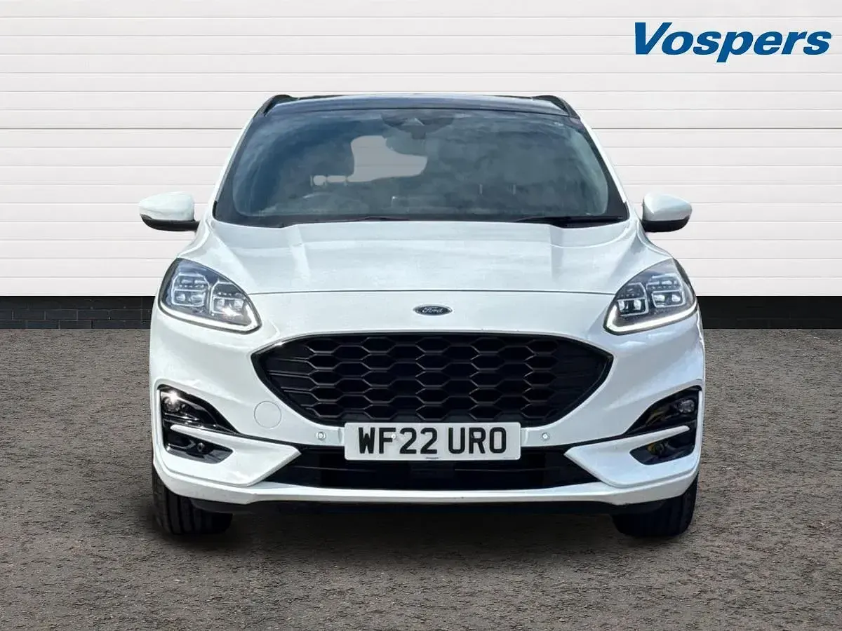 Used Ford Kuga ST-Line X 150 HP (110 kW) 2022 White SUV