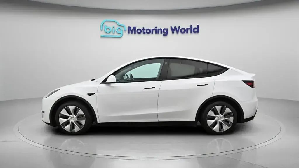 Used Tesla Model Y RWD 254 kW (346 HP) 2022 White SUV