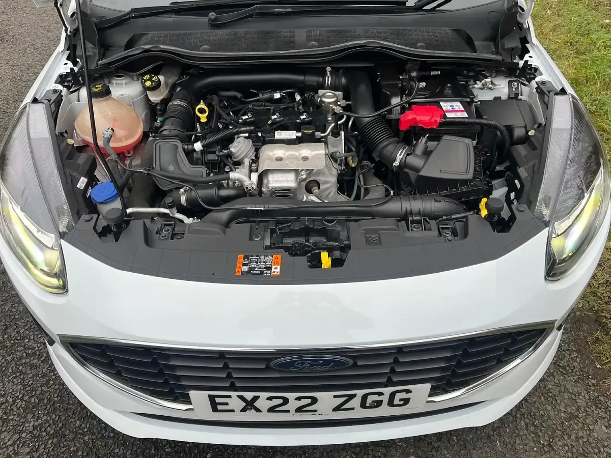 Used Ford Fiesta Trend 2022 White Hatchback