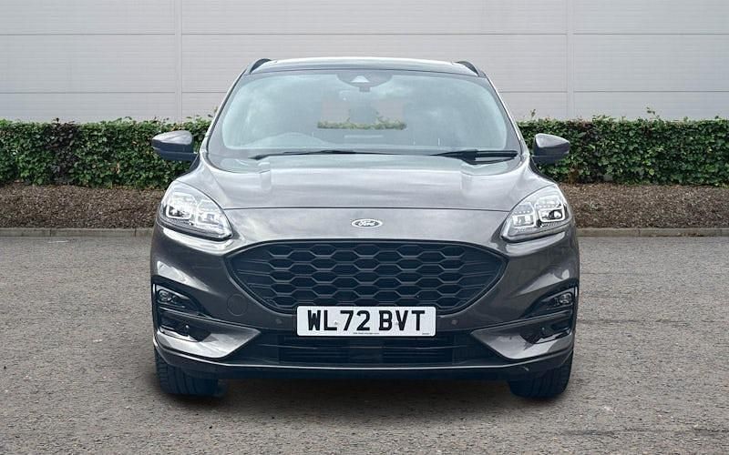 Used Ford Kuga ST-Line X 150 HP (110 kW) 2023 SUV