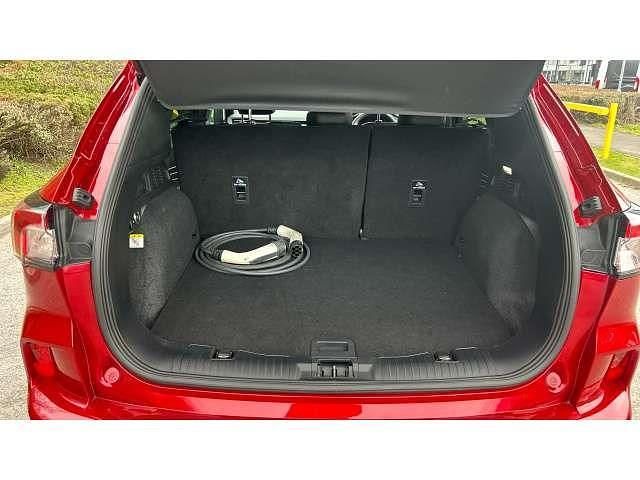 Used Ford Kuga ST-Line 221 HP (162 kW) 2023 Red SUV