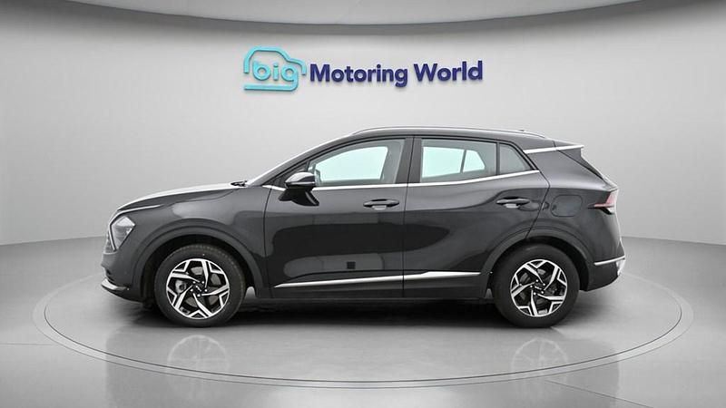 Used Kia Sportage 148 HP (108 kW) 2024 Black SUV