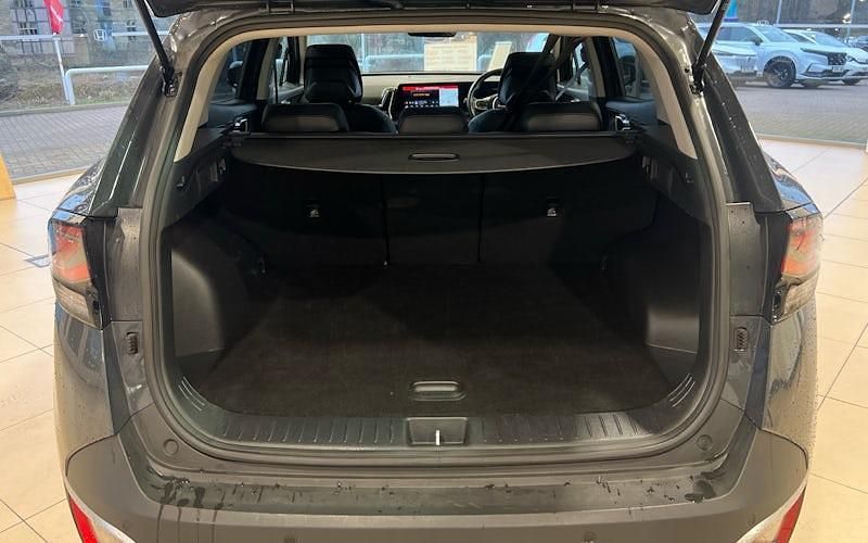 Used Kia Sportage 159 HP (116 kW) 2024 SUV