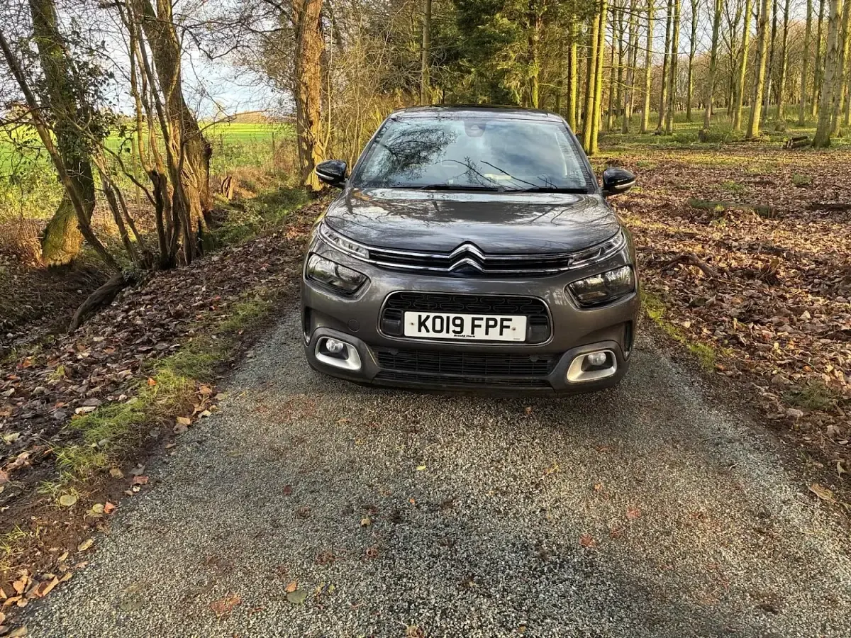 Used Citroën C4 Cactus Flair 130 HP (95 kW) 2019 Grey Hatchback