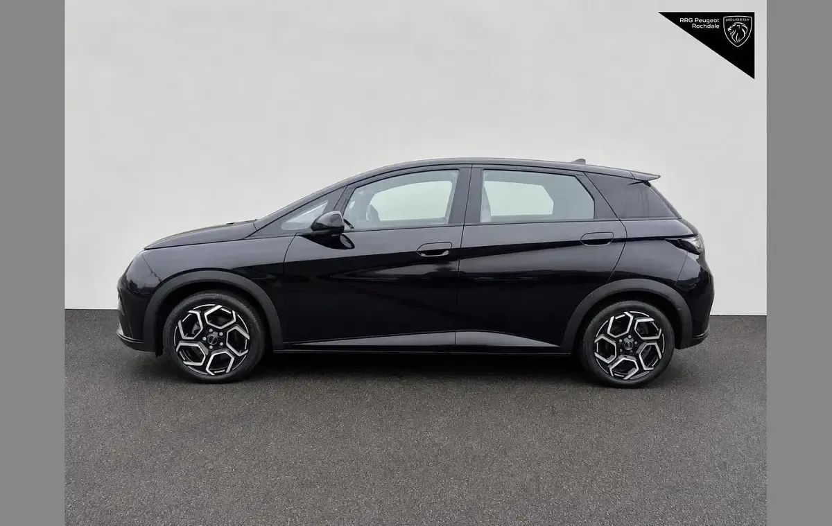 Used BYD Dolphin Comfort 150 kW (204 HP) 2024 Black Hatchback