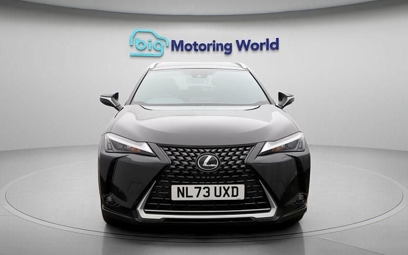 Used Lexus UX 150 kW (204 HP) 2024 SUV
