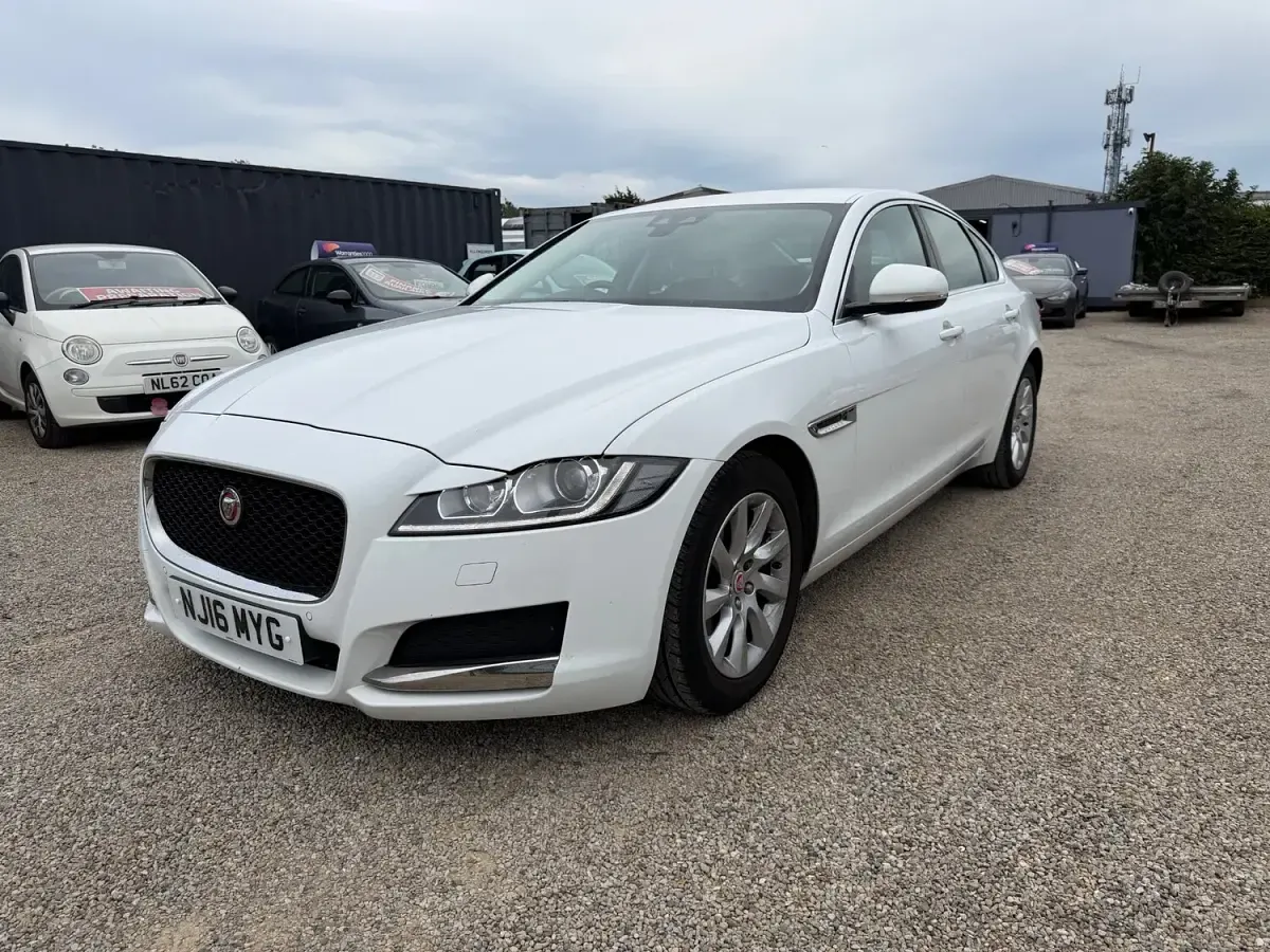 Used Jaguar XF Prestige 2016 White Sedan