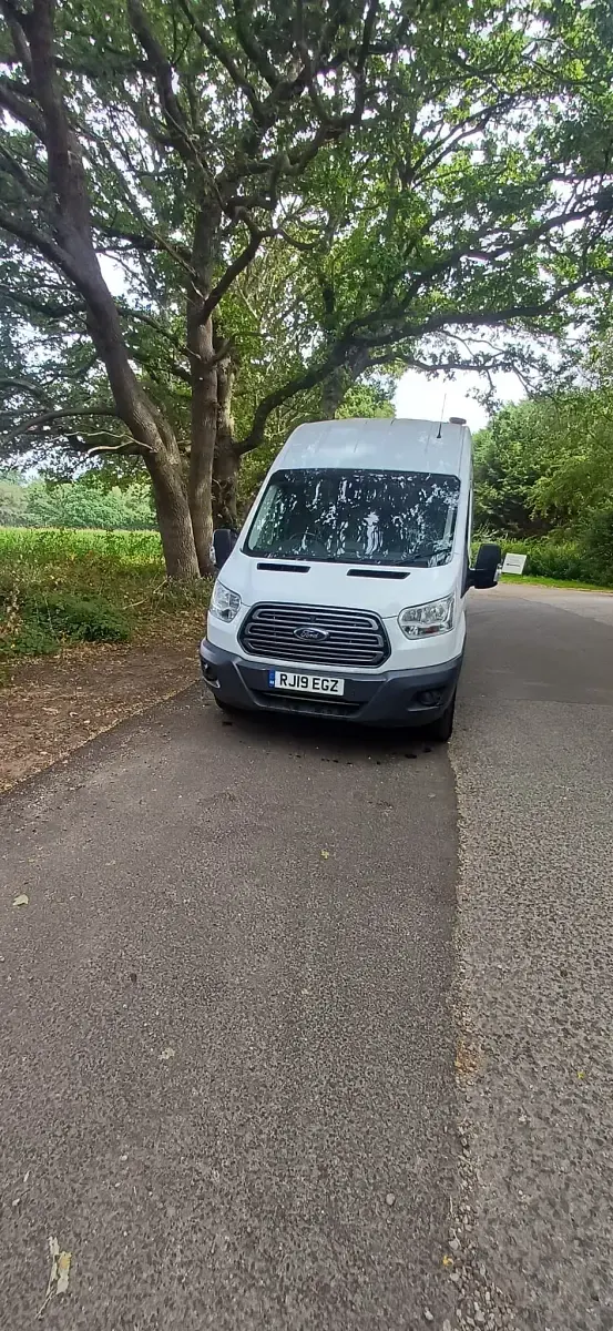 Used Ford Transit 170 HP (125 kW) 2019 White Van