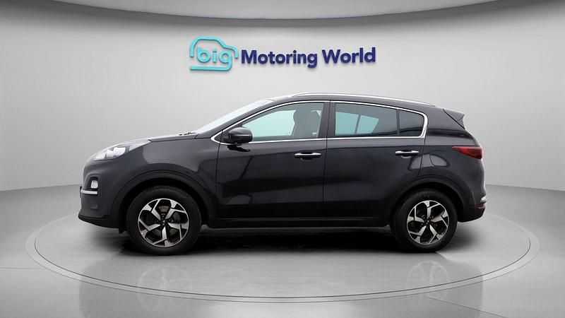 Used Kia Sportage 130 HP (95 kW) 2022 Black SUV