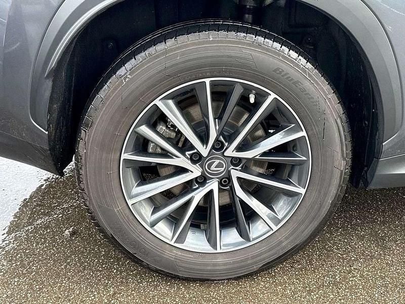 Used Lexus NX350h 239 HP (175 kW) 2023 Grey SUV