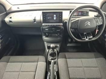 Used Citroën C4 Cactus Flair 102 HP (75 kW) 2019 Black Hatchback