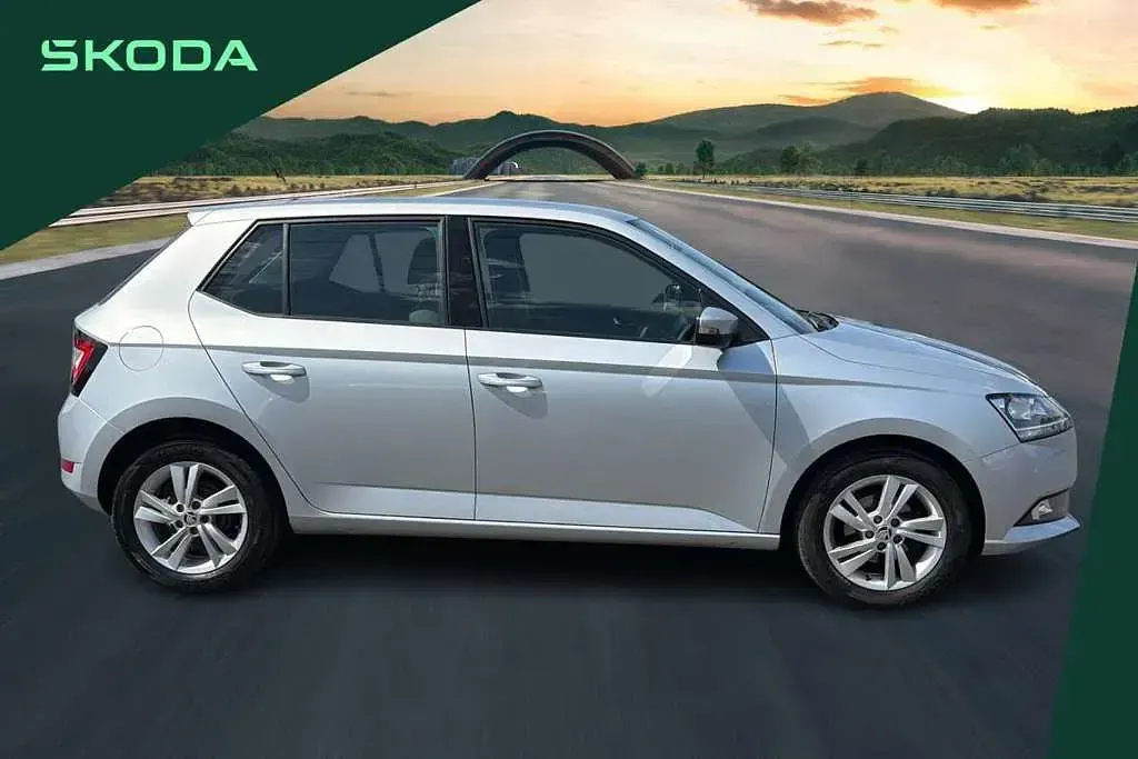 Used Skoda Fabia SE 73 HP (53 kW) 2019 Silver Hatchback
