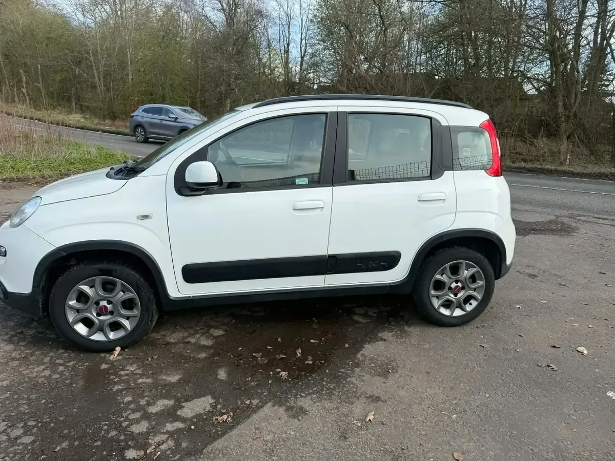 Used Fiat Panda 4x4 75 HP (55 kW) 2014 White Hatchback