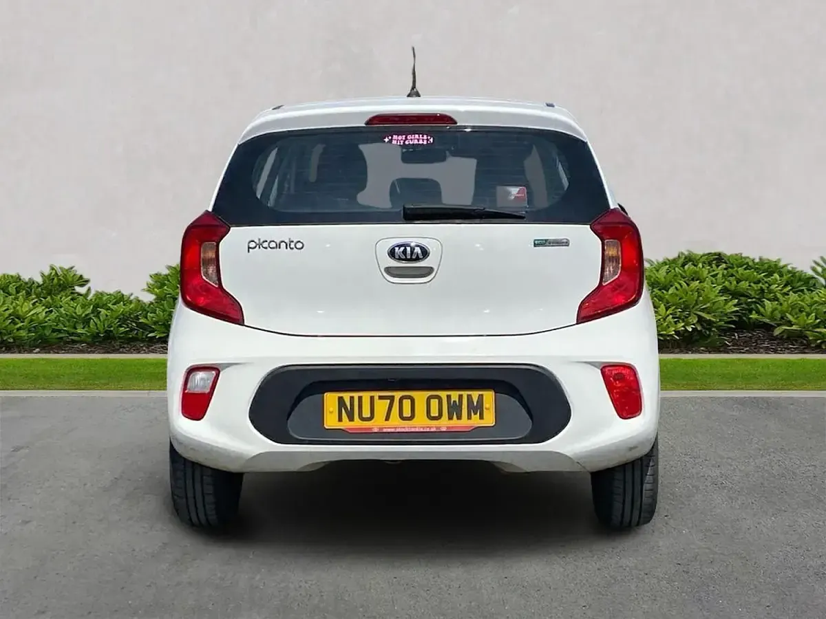 Used Kia Picanto 84 HP (61 kW) 2020 White Hatchback