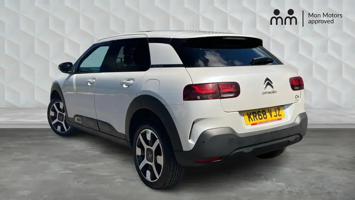 Used Citroën C4 Cactus Flair 110 HP (80 kW) 2018 White Hatchback