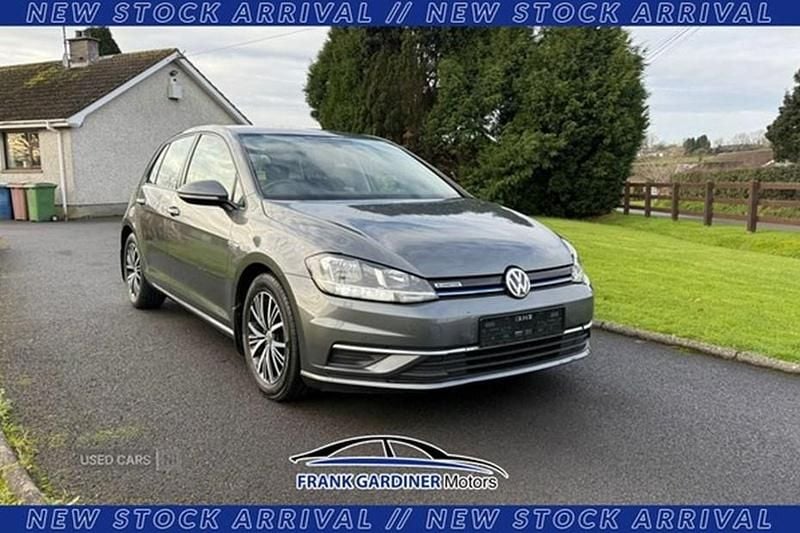 Used VW Golf VII SE 130 HP (95 kW) 2018 Grey Hatchback