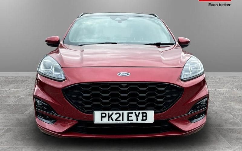Used Ford Kuga ST-Line X 224 HP (164 kW) 2023 SUV