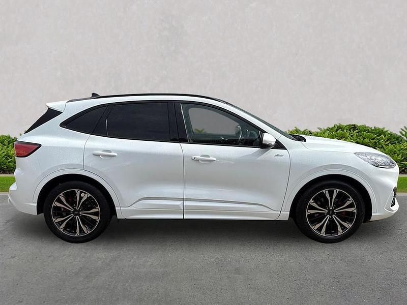Used Ford Kuga ST-Line X 2023 White SUV