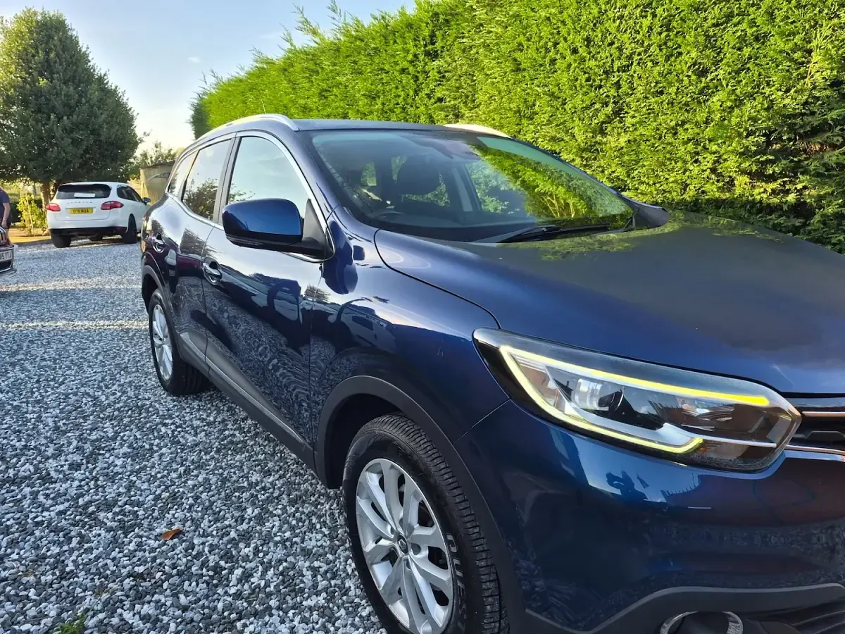 Used Renault Kadjar Dynamique 2018 Blue SUV