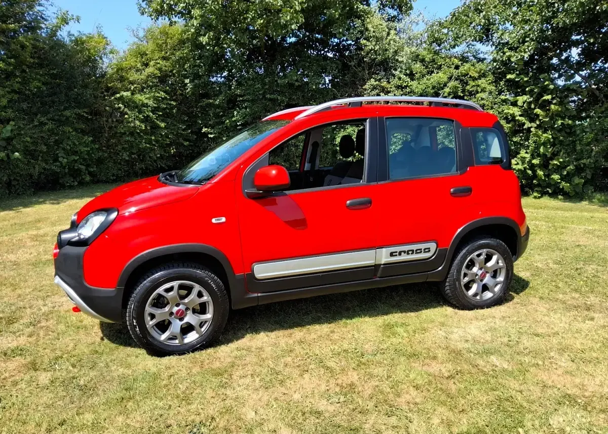 Used Fiat Panda Cross Cross 90 HP (66 kW) 2019 Red Hatchback
